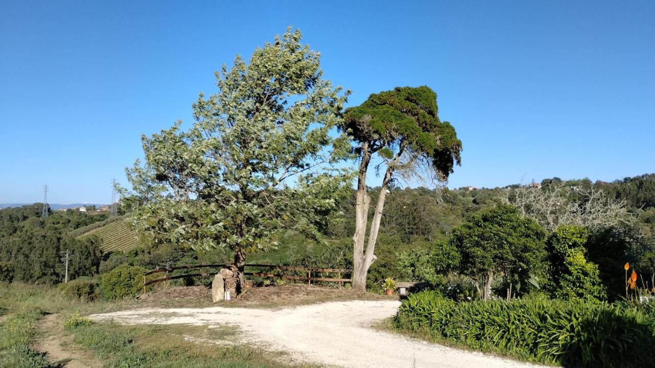 Quinta Do Oratorio Agroturismo Όμπιδος Εξωτερικό φωτογραφία